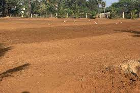 Land